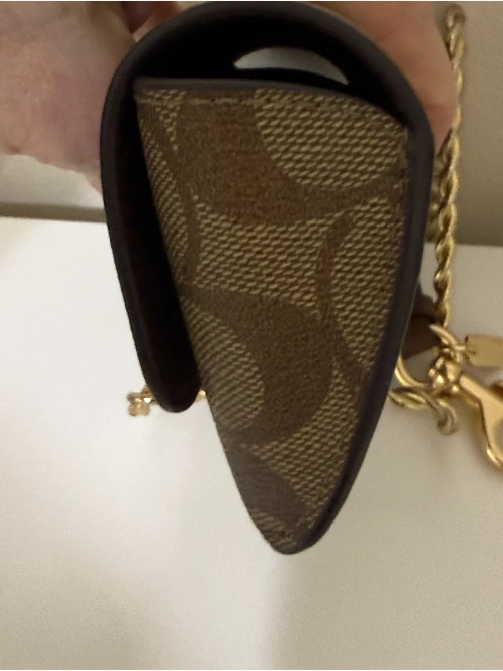 Coach Signature Canvas Turnlock Eye/Sun glass Case In Brown
